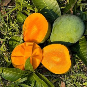হিমসাগর আম